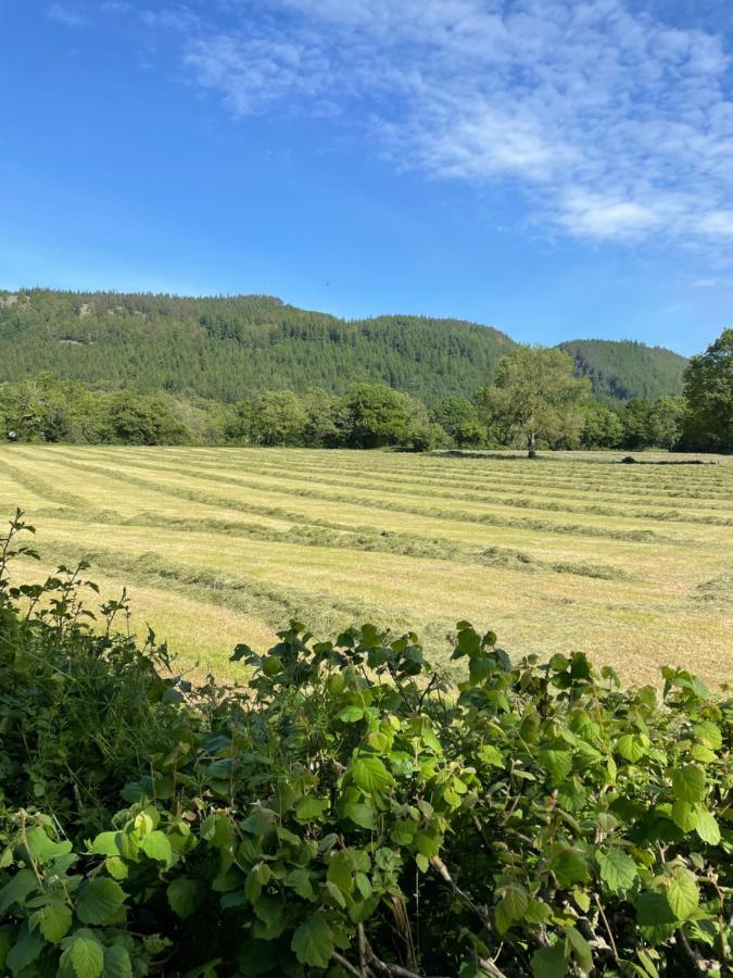 Glanrhyd Cottage Betws-y-Coed Luaran gambar
