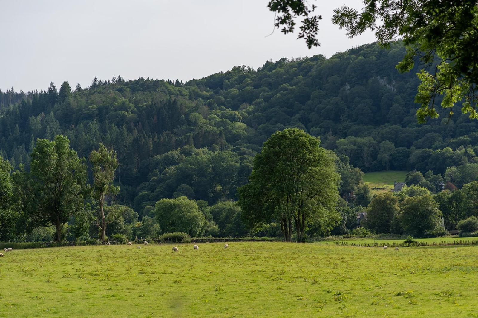 Glanrhyd Cottage Betws-y-Coed Luaran gambar